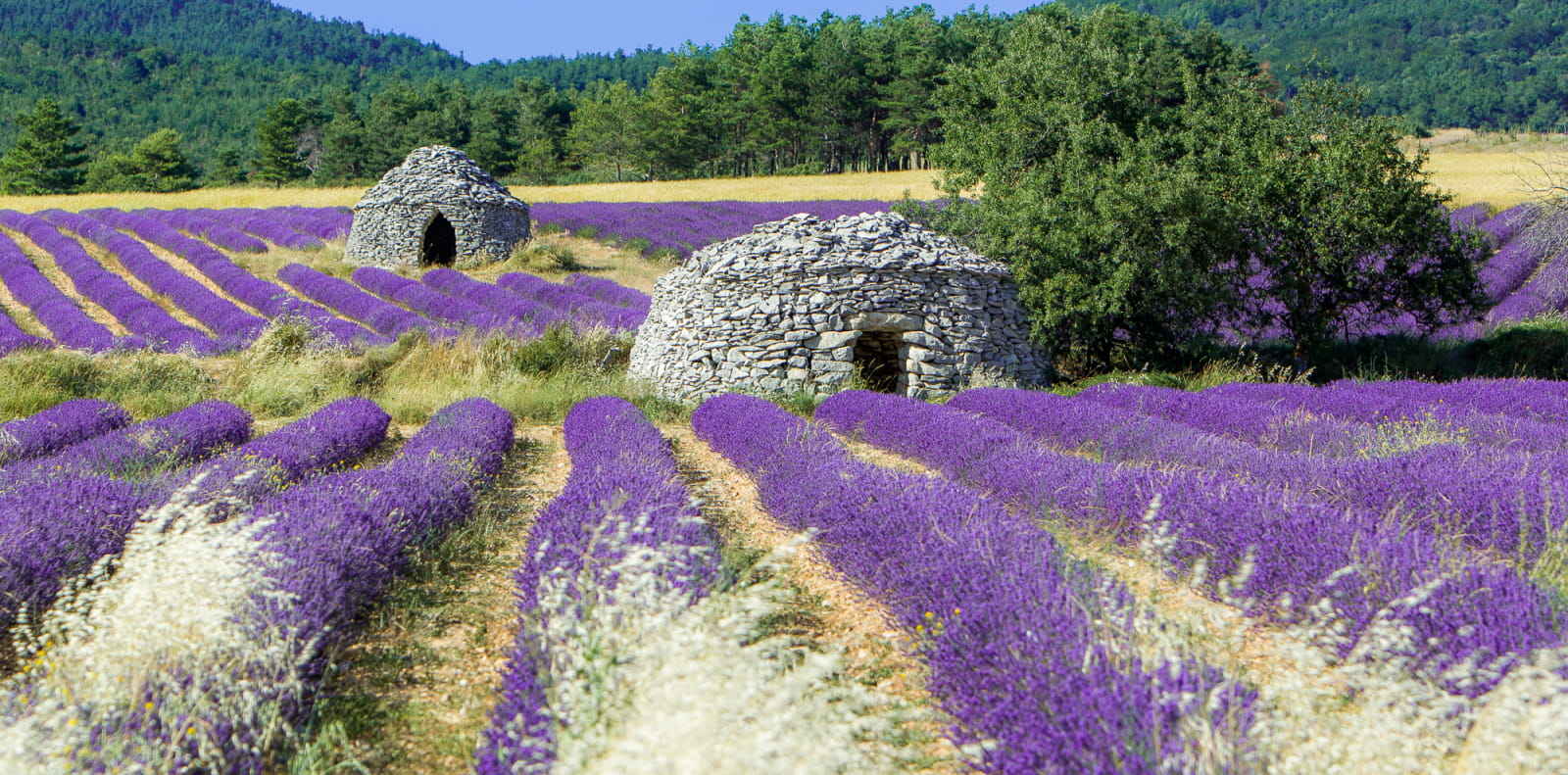 DROME PROVENCALE