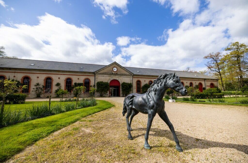 SPECTACLE EQUESTRE ET CITE DE LA VOILE