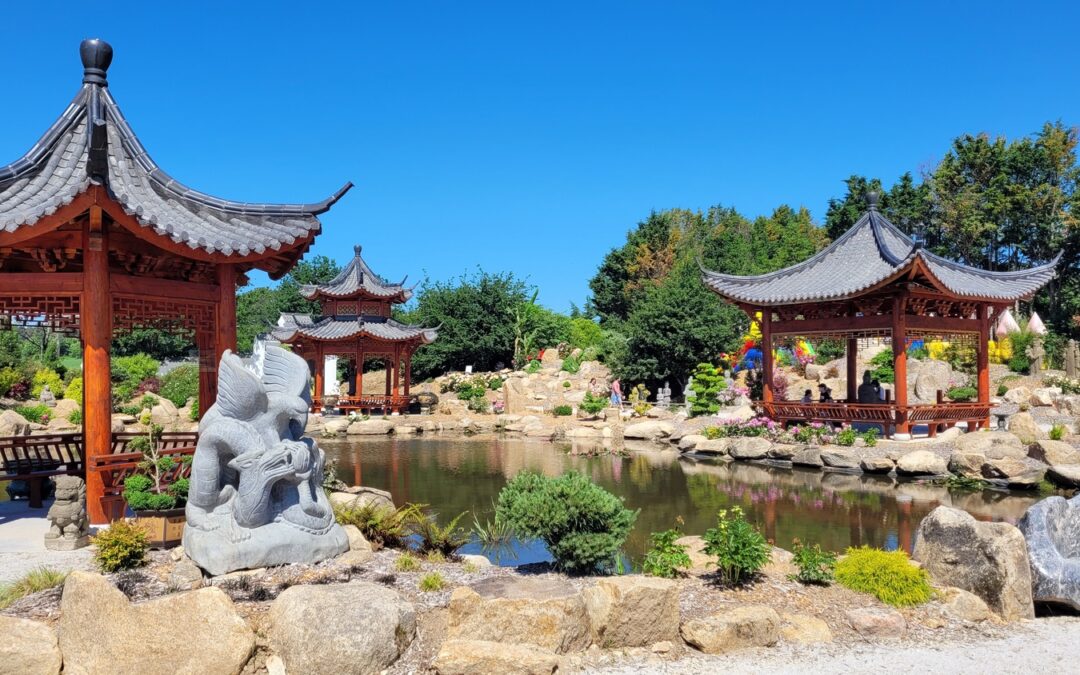 CROISIERE SUR LA VILAINE ET LE TROPICAL PARC (Journée personnes seules)